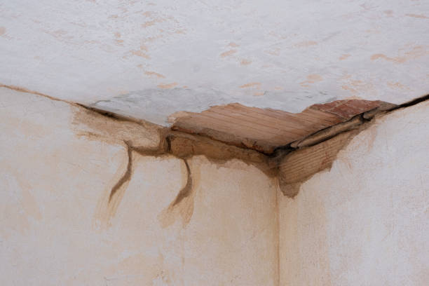 Best Sewage cleanup and water damage restoration  in Lacon, IL