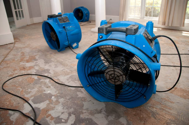 Best Fire Damage Restoration  in Lacon, IL